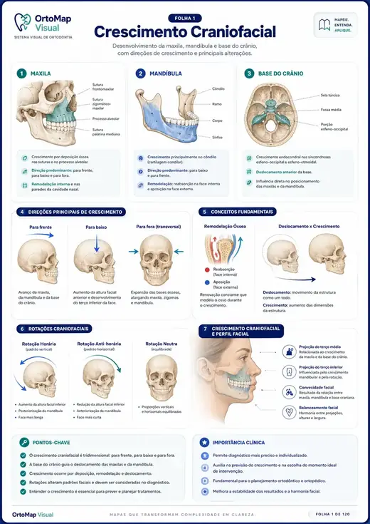 Crescimento Craniofacial