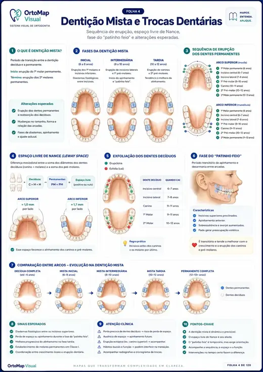 Dentição Mista e Trocas Dentárias